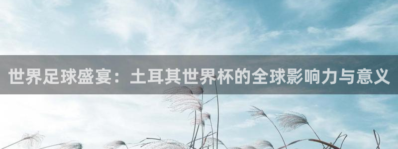 世界杯直播网站:世界足球盛宴:土耳其世界杯的全球影响力与意义
