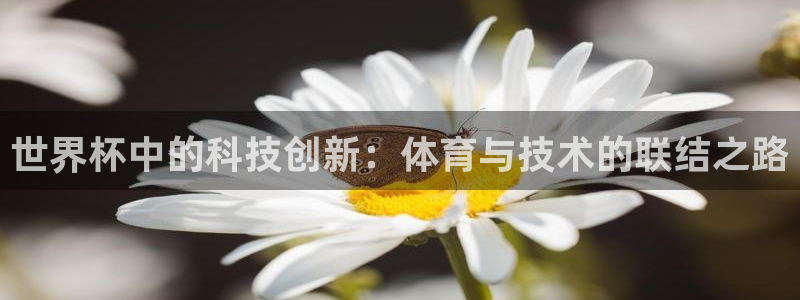 世界杯直播高清:世界杯中的科技创新:体育与技术的联结之路