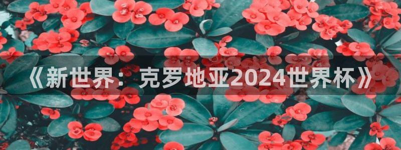 2026年足球世界杯赛程时间表:《新世界:克罗地亚2024世界杯》