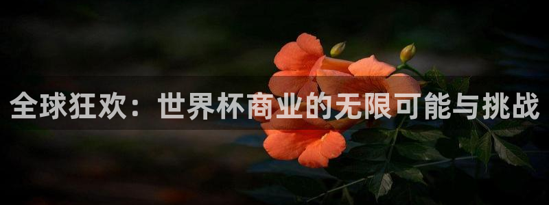 国际足联世界杯:全球狂欢:世界杯商业的无限可能与挑战