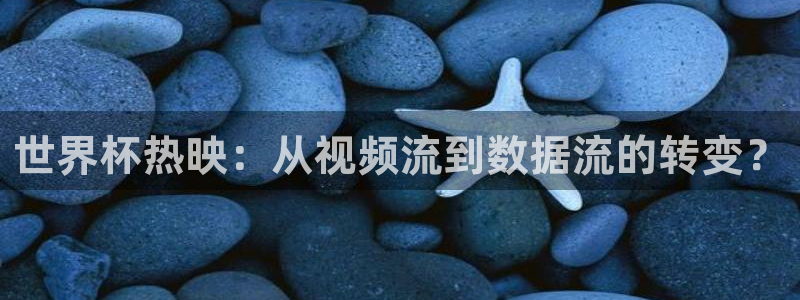 2026年男足世界杯:世界杯热映:从视频流到数据流的转变?