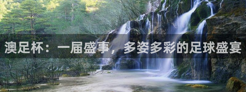 2026年世界杯对阵图:澳足杯:一届盛事,多姿多彩的足球盛宴