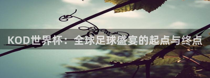 女足世界杯直播:KOD世界杯:全球足球盛宴的起点与终点